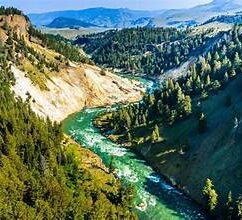 Yellowstone